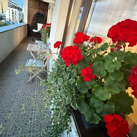 Wonderful View Apartment